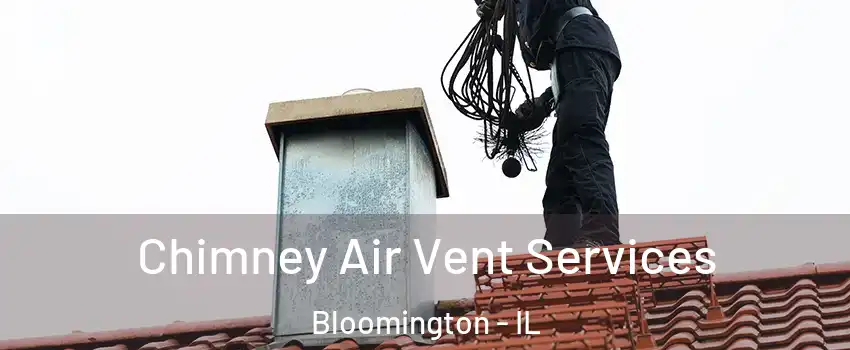  Chimney Air Vent Services Bloomington - IL