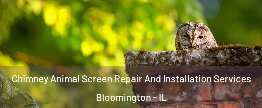  Chimney Animal Screen Repair And Installation Services Bloomington - IL