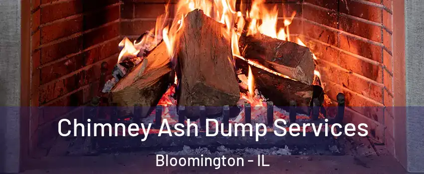  Chimney Ash Dump Services Bloomington - IL