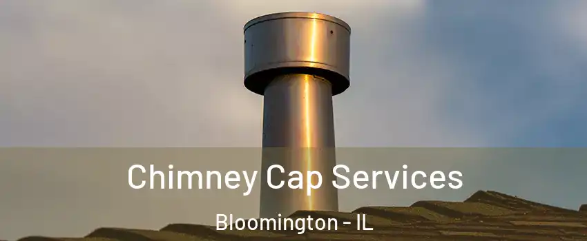  Chimney Cap Services Bloomington - IL