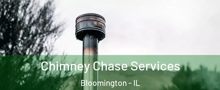  Chimney Chase Services Bloomington - IL