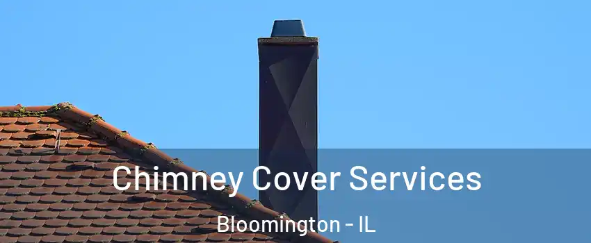  Chimney Cover Services Bloomington - IL