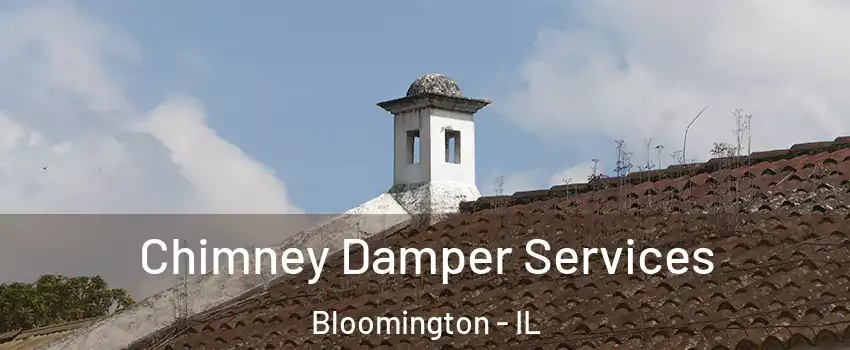  Chimney Damper Services Bloomington - IL