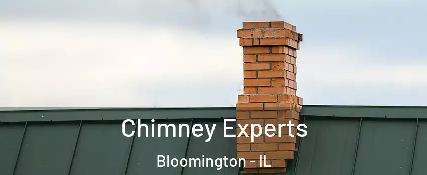  Chimney Experts Bloomington - IL