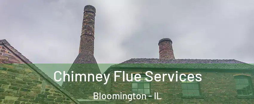  Chimney Flue Services Bloomington - IL