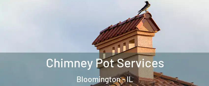  Chimney Pot Services Bloomington - IL