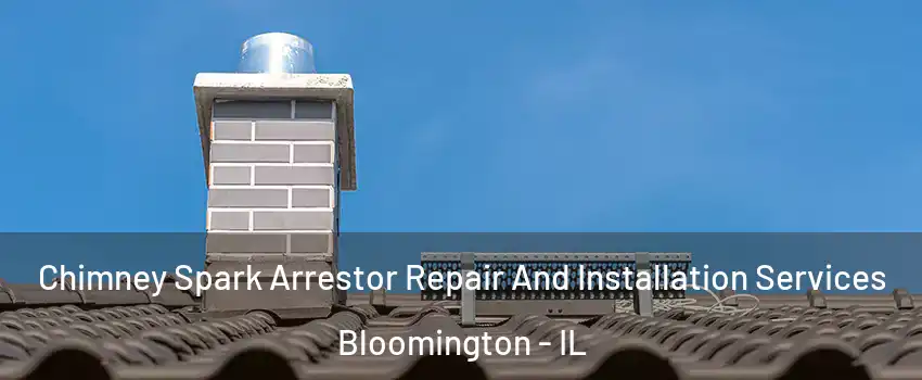  Chimney Spark Arrestor Repair And Installation Services Bloomington - IL