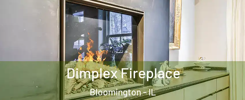  Dimplex Fireplace Bloomington - IL