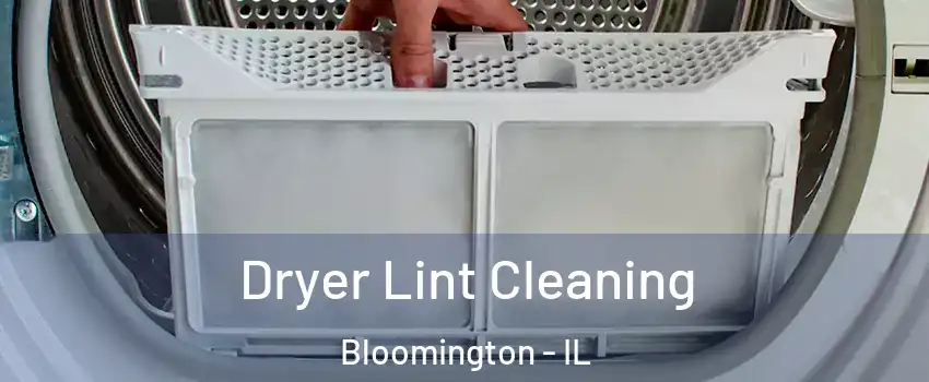  Dryer Lint Cleaning Bloomington - IL