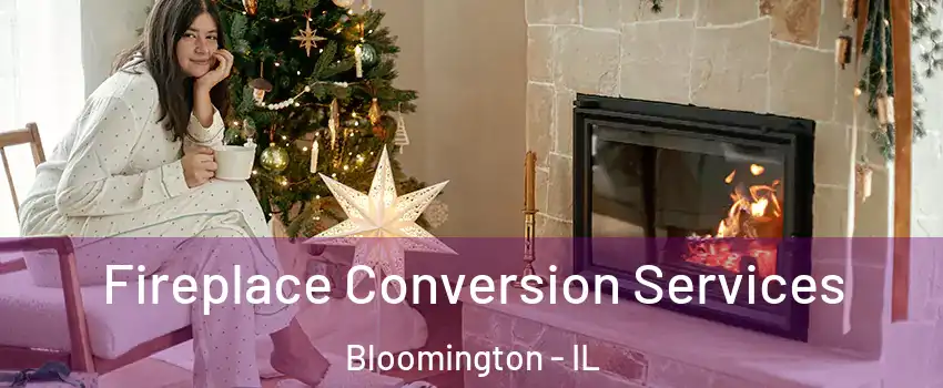  Fireplace Conversion Services Bloomington - IL