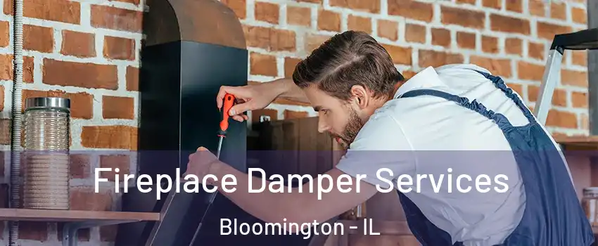  Fireplace Damper Services Bloomington - IL