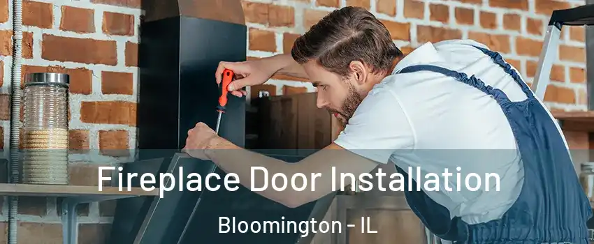  Fireplace Door Installation Bloomington - IL