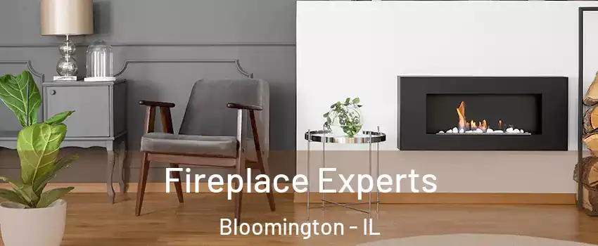  Fireplace Experts Bloomington - IL