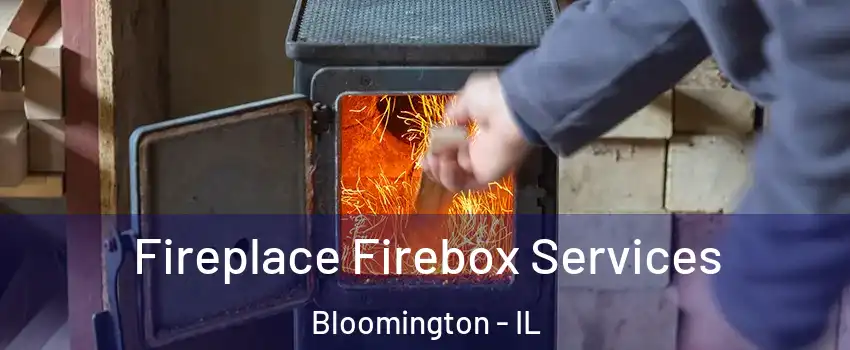  Fireplace Firebox Services Bloomington - IL
