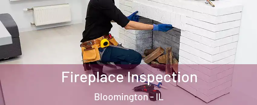  Fireplace Inspection Bloomington - IL