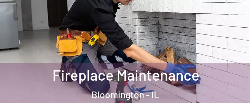  Fireplace Maintenance Bloomington - IL