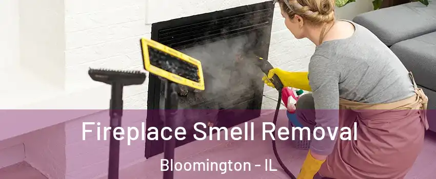  Fireplace Smell Removal Bloomington - IL