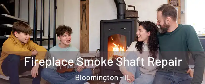  Fireplace Smoke Shaft Repair Bloomington - IL
