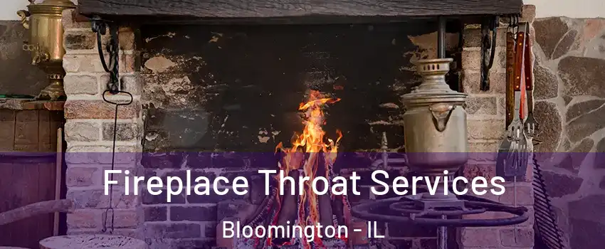 Fireplace Throat Services Bloomington - IL