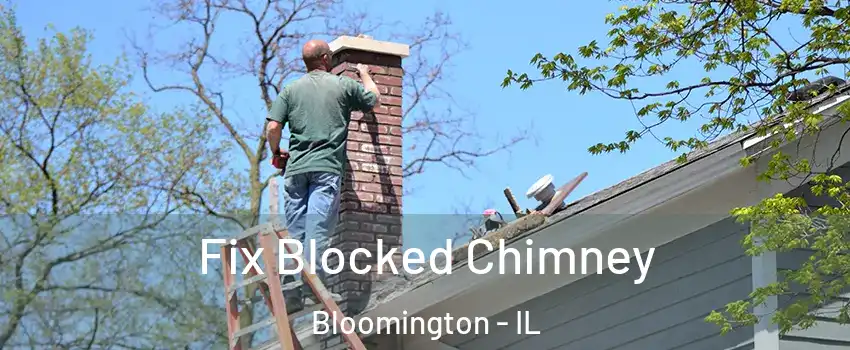  Fix Blocked Chimney Bloomington - IL