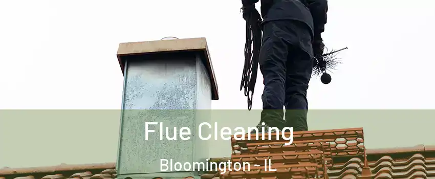  Flue Cleaning Bloomington - IL