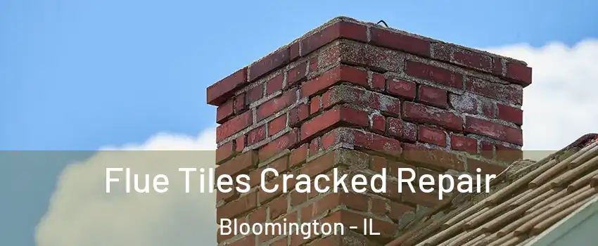  Flue Tiles Cracked Repair Bloomington - IL