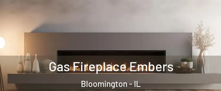  Gas Fireplace Embers Bloomington - IL