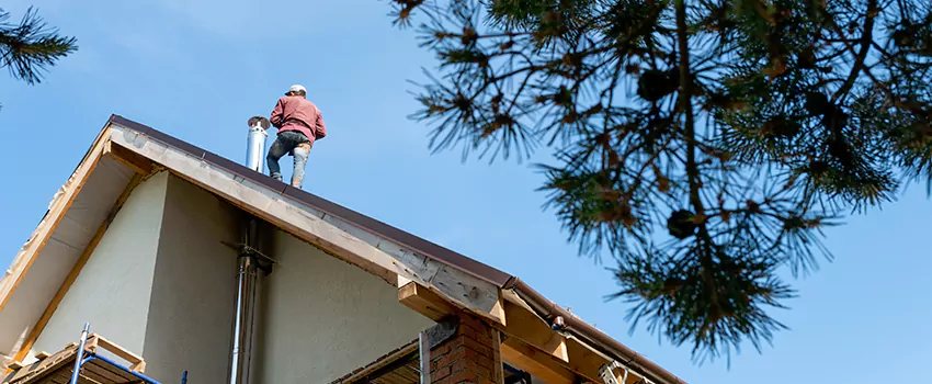 Birds Removal Contractors from Chimney in Bloomington, IL
