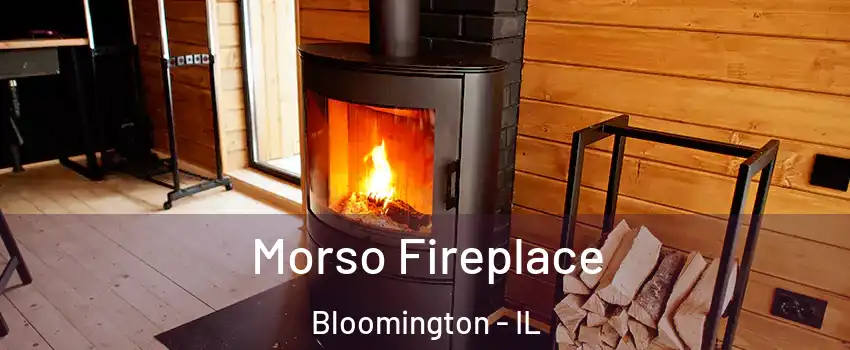  Morso Fireplace Bloomington - IL