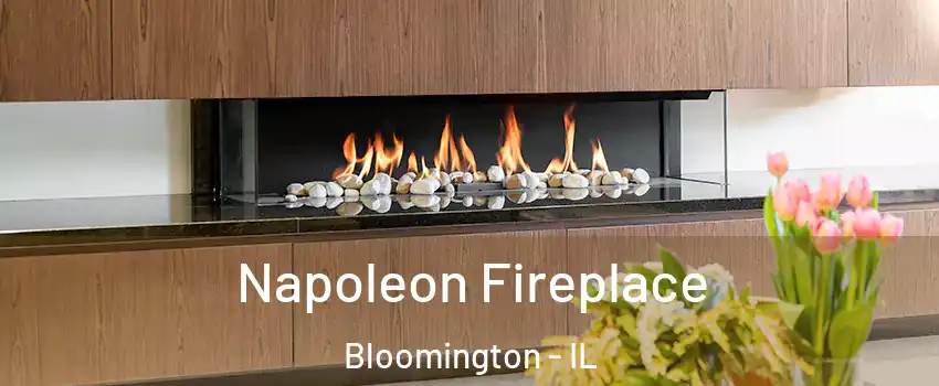  Napoleon Fireplace Bloomington - IL