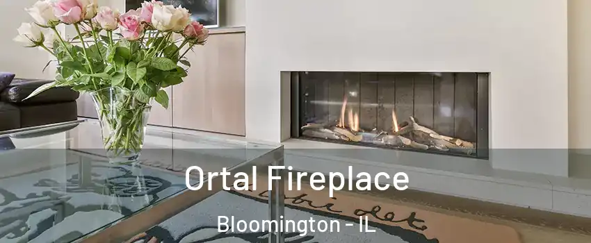  Ortal Fireplace Bloomington - IL