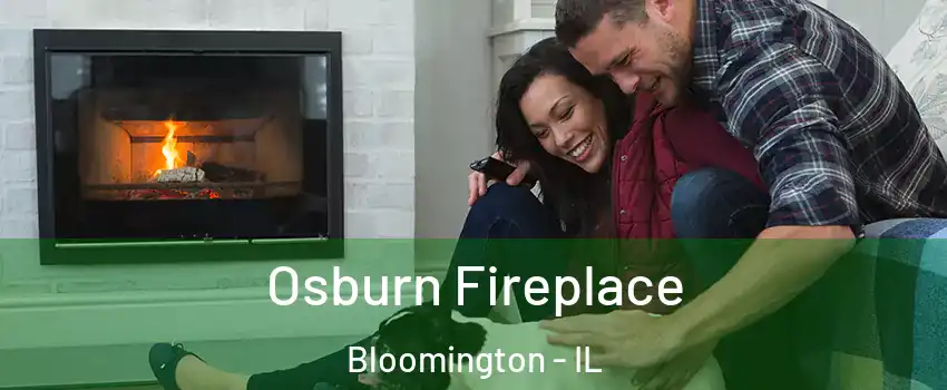  Osburn Fireplace Bloomington - IL